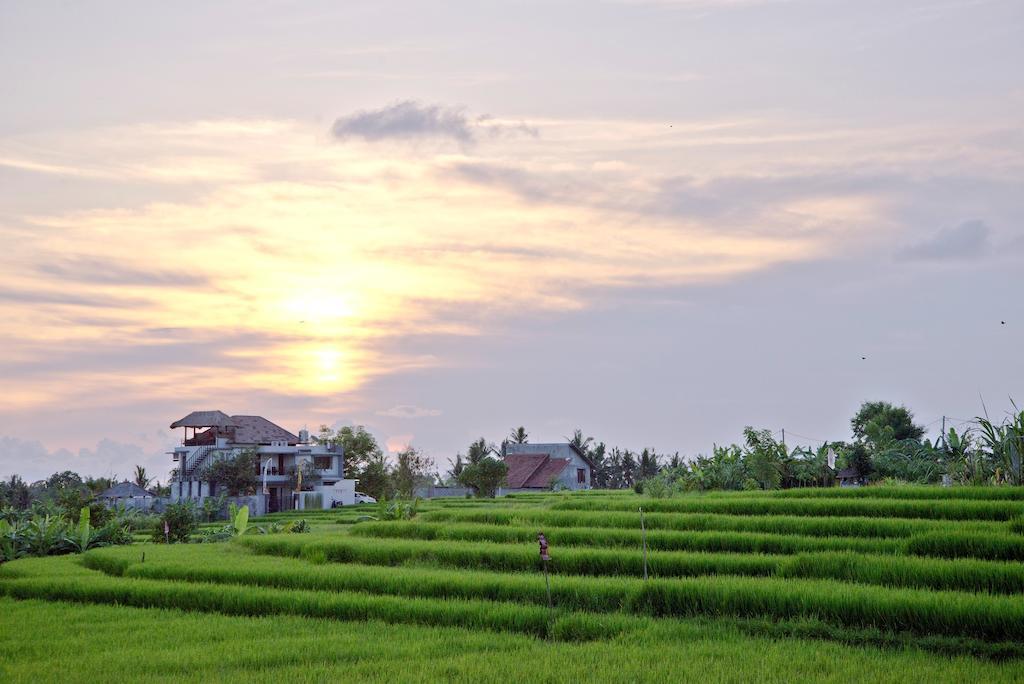 Paddy View Villa Kuta Lombok Buitenkant foto
