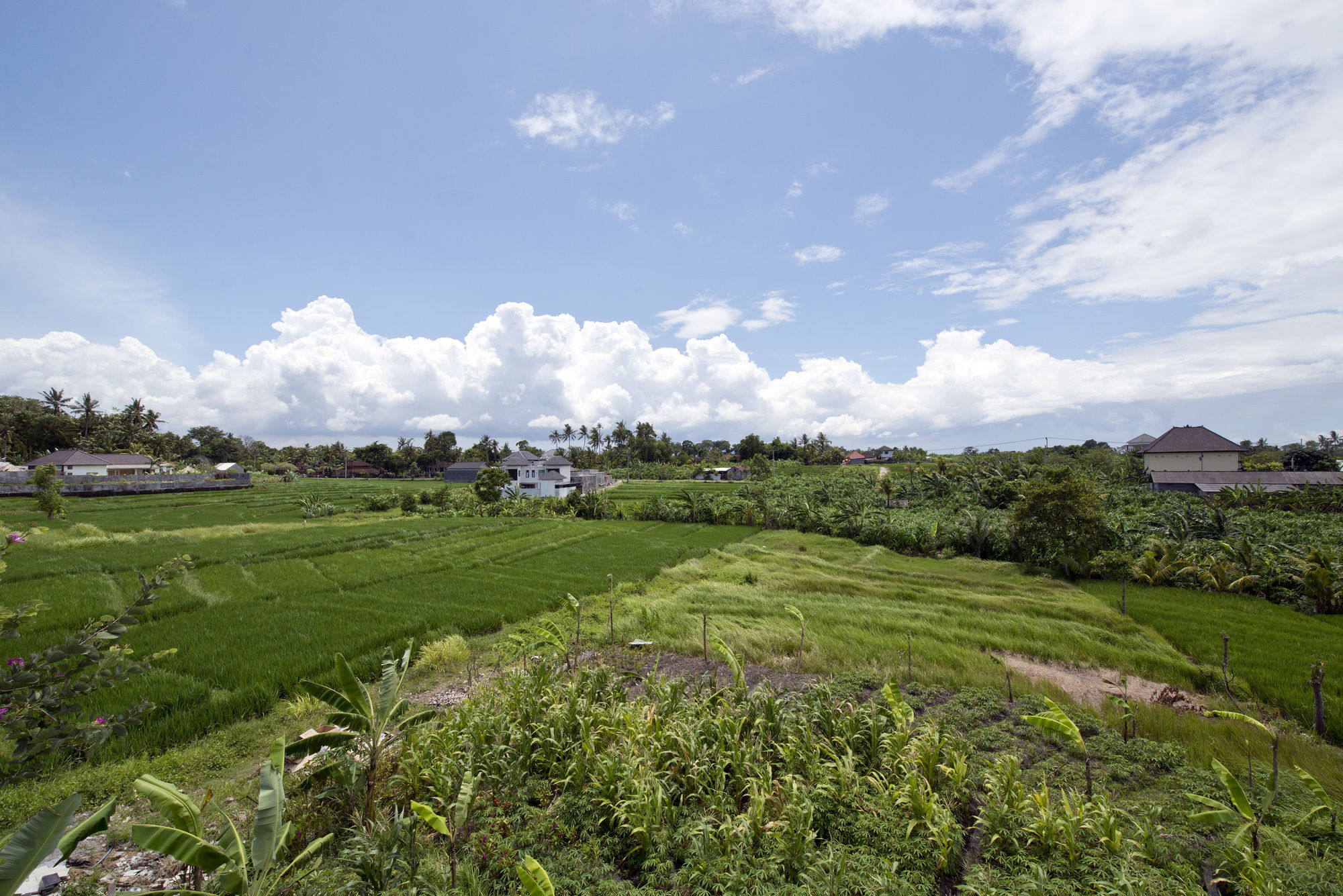 Paddy View Villa Kuta Lombok Buitenkant foto