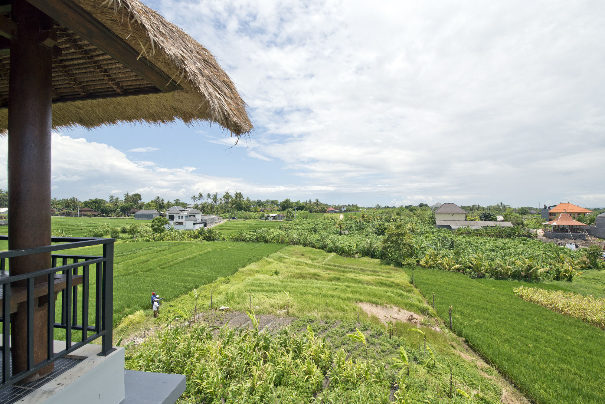 Paddy View Villa Kuta Lombok Buitenkant foto