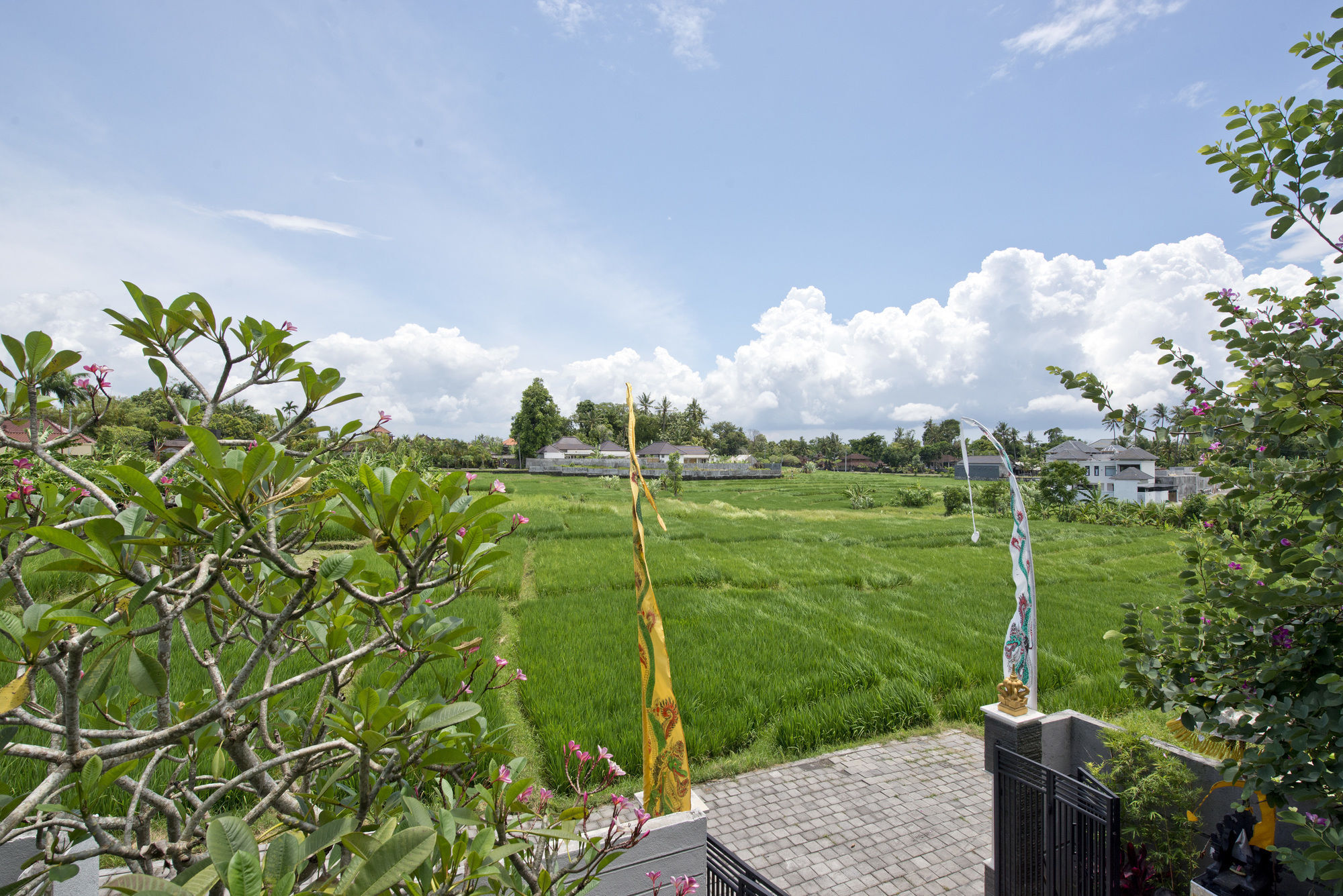 Paddy View Villa Kuta Lombok Buitenkant foto